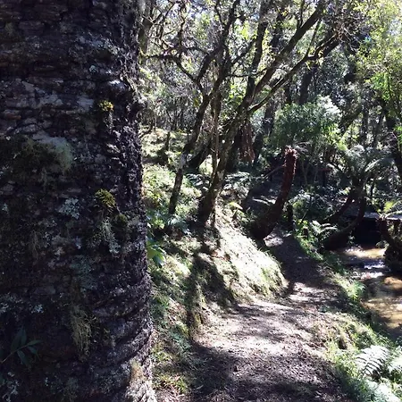 Chales Do Ferradura Campos do Jordão Exterior foto